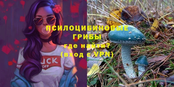 дмт Магадан